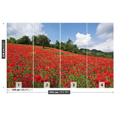 Wallpaper Field of poppies