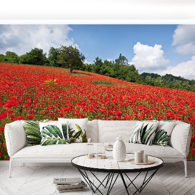 Wallpaper Field of poppies