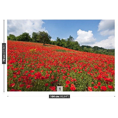 Wallpaper Field of poppies