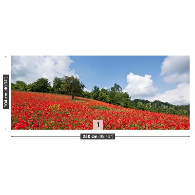 Wallpaper Field of poppies