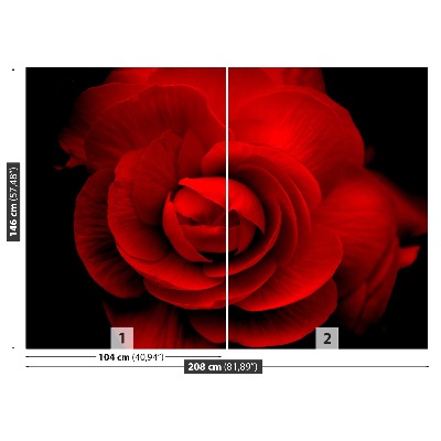 Wallpaper Red rose