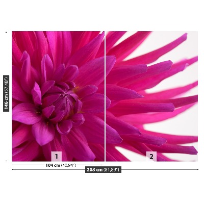 Wallpaper Dahlia pink