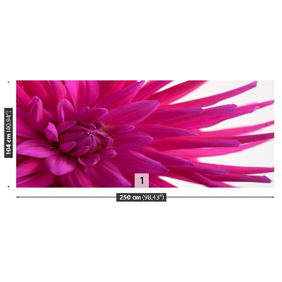 Wallpaper Dahlia pink