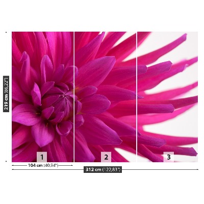 Wallpaper Dahlia pink