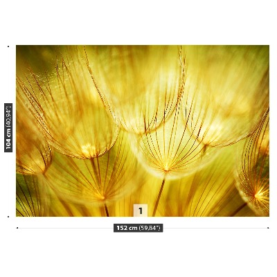 Wallpaper Dandelion golden