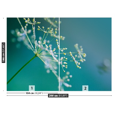 Wallpaper Flower dill