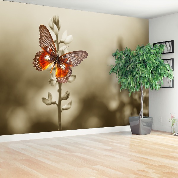 Wallpaper Butterfly flowers