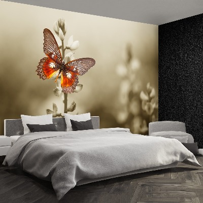 Wallpaper Butterfly flowers