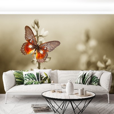 Wallpaper Butterfly flowers