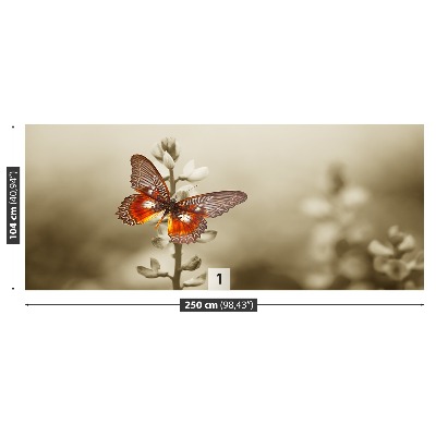 Wallpaper Butterfly flowers