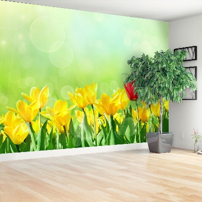 Wallpaper Yellow tulips