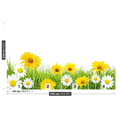 Wallpaper Grass chamomile