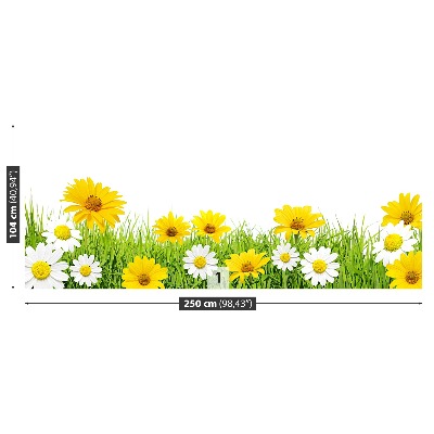 Wallpaper Grass chamomile