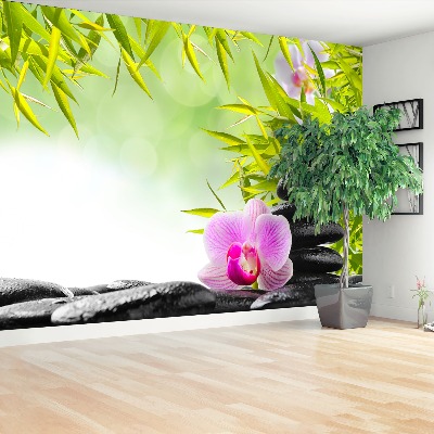 Wallpaper Bamboo and orchid
