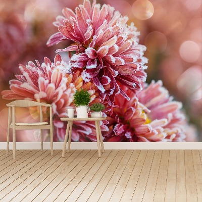 Wallpaper Aster ice pink