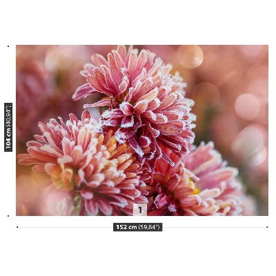 Wallpaper Aster ice pink