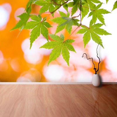 Wallpaper Maple leaves