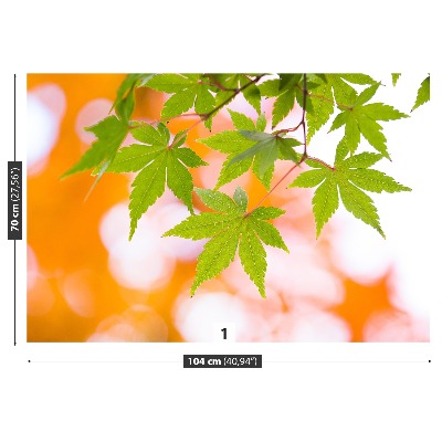 Wallpaper Maple leaves