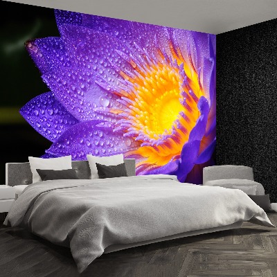 Wallpaper Purple lotus