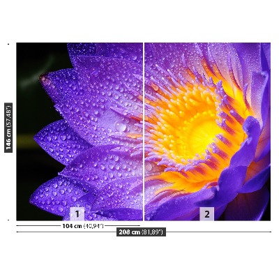 Wallpaper Purple lotus