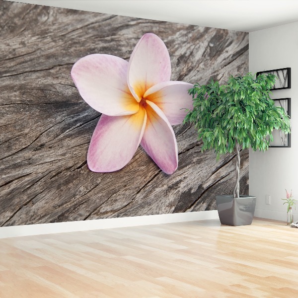 Wallpaper Frangipani wood