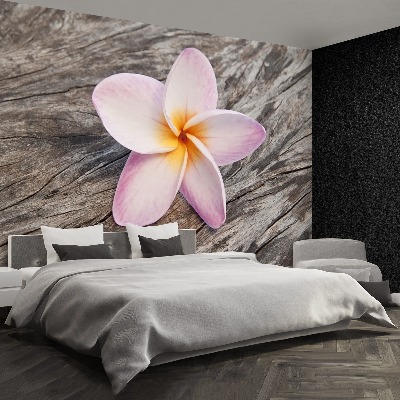 Wallpaper Frangipani wood