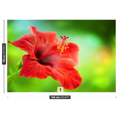 Wallpaper Hibiscus red