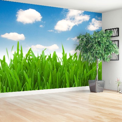 Wallpaper Grass sky