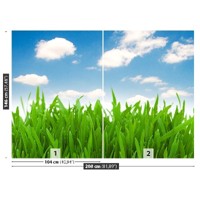 Wallpaper Grass sky