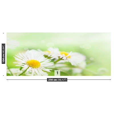 Wallpaper Green daisy