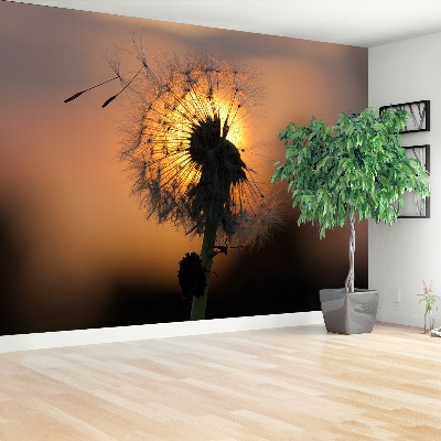 Wallpaper Dandelion sun