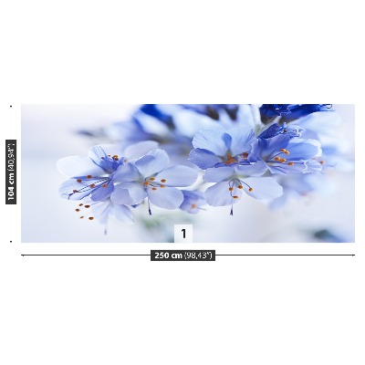 Wallpaper Blue flowers