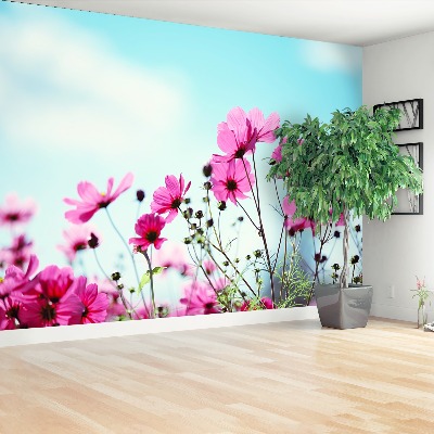 Wallpaper Flower sky