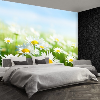 Wallpaper Green daisy