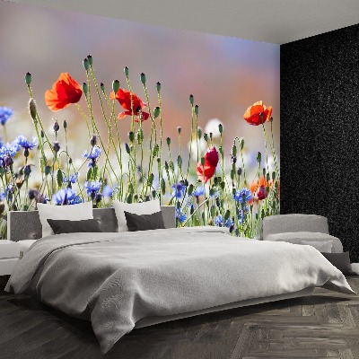 Wallpaper Poppies and cornflowers