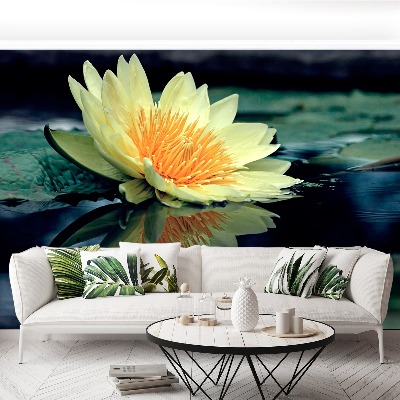Wallpaper Lotus flower