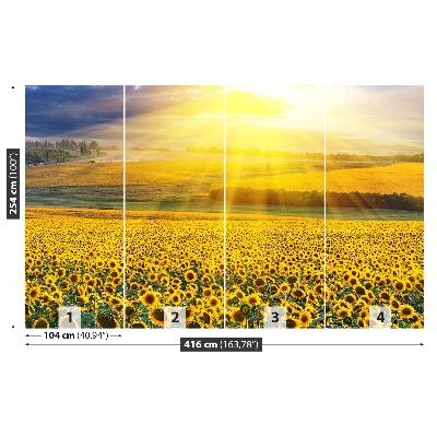 Wallpaper Field of sunflowers