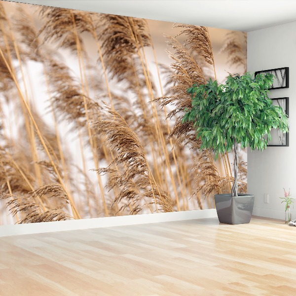 Wallpaper Brown reed