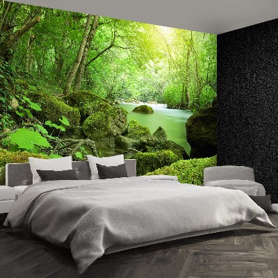 Wallpaper Forest river