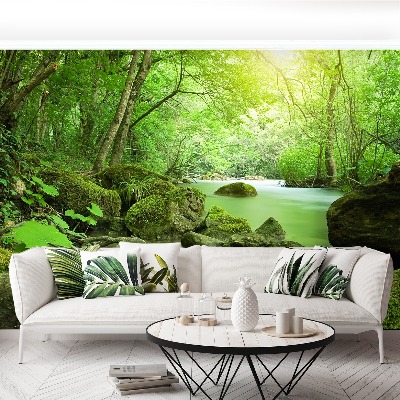 Wallpaper Forest river