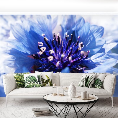 Wallpaper Cornflower blue