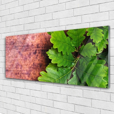 Acrylic Print Oak leaves floral green