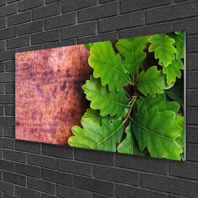 Acrylic Print Oak leaves floral green