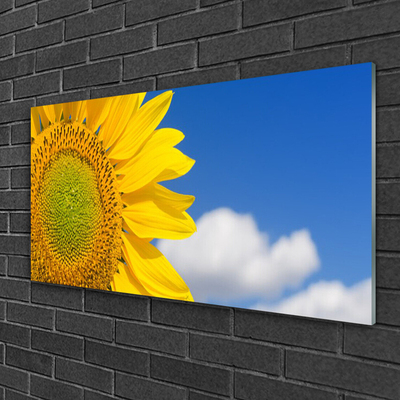 Acrylic Print Sunflower clouds floral yellow gold blue