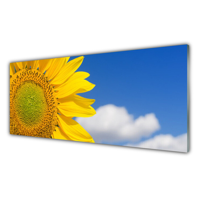 Acrylic Print Sunflower clouds floral yellow gold blue