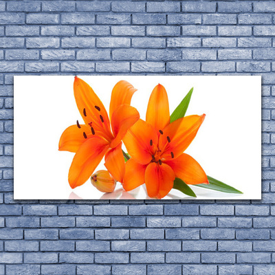 Acrylic Print Flowers floral orange green white