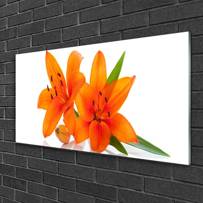 Acrylic Print Flowers floral orange green white