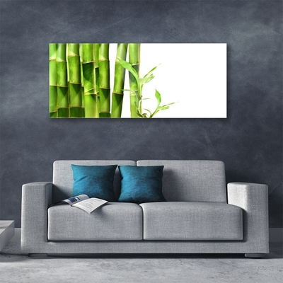 Acrylic Print Bamboo floral green white