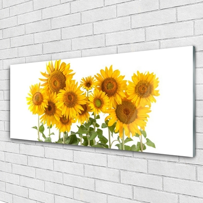 Acrylic Print Sunflowers floral yellow gold green