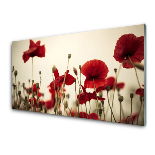 Acrylic Print Poppies floral red grey green